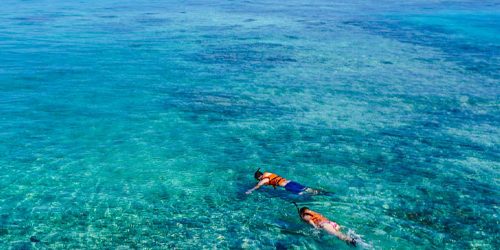 VIVE Fuerteventura - Activities - Snorkeling_500x500px