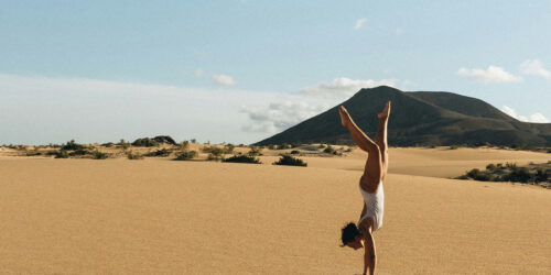 VIVE Fuerteventura - Blog - Verhalten Natur