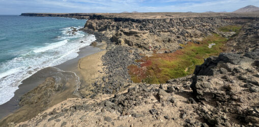 VIVE Fuerteventura_Beaches_Playa de Tebeto_mobil_12