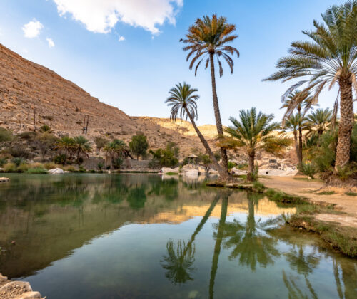 VIVE Fuerteventura_Städte & Dörfer_La Lajita_Oasis Park_01_1920x1100px