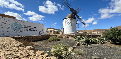 VIVE Fuerteventura_Städte & Dörfer_Tiscamanita_mobil_09_1920x1100px