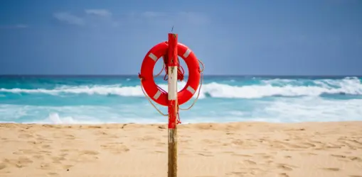 celina-vXJTiG0hmR8-unsplashinfo_result