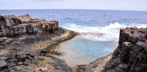 iStock-1063309356krabben_result