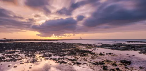 iStock-1086925514faro toston_result