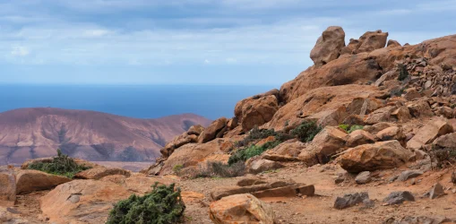 iStock-1297798138risco penas_result