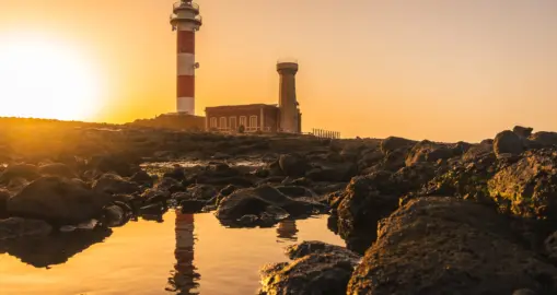 iStock-1466329262faro toston_result