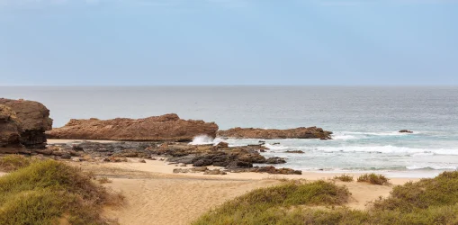 iStock-1473943254jarubio_result