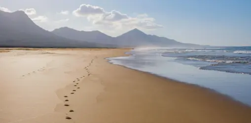 iStock-1492226992cofete playa_result