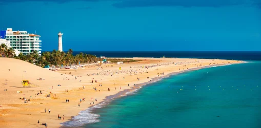 iStock-1716950428matorral_result