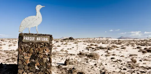 iStock-175441767corralejo_result