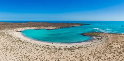 iStock-1990907244concha lobos_result