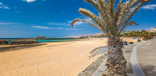 iStock-2186868277la guirra_result