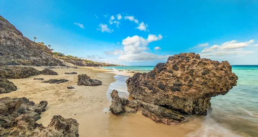 iStock-2187026636butihondo_result