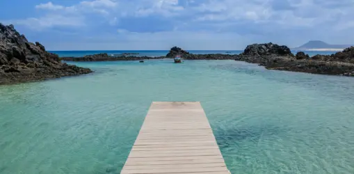 tamas-sandor-NG6bxPDMP10-unsplashlobos puertito_result info