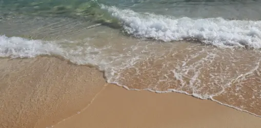 victoria-ebert-lc6UCqz_ebQ-unsplashfuerteventura general_result info